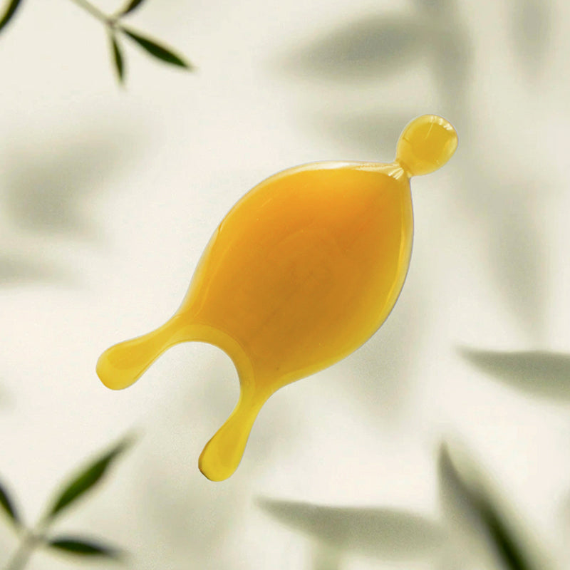 Little Snail Guasha