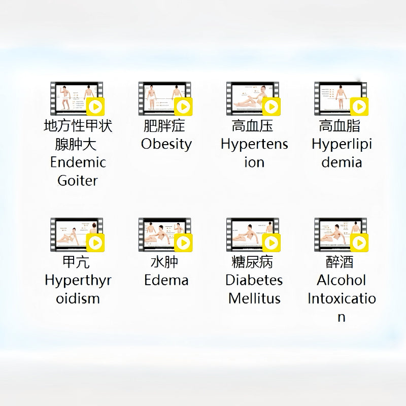 The Inner Conductor - Harmonizing Your Endocrine Landscape