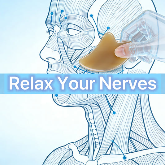 The Still Point - Navigating Your Neural Pathways