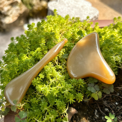 Dolphin Flow™ Gua Sha - Natural White Water Buffalo Horn （kit）