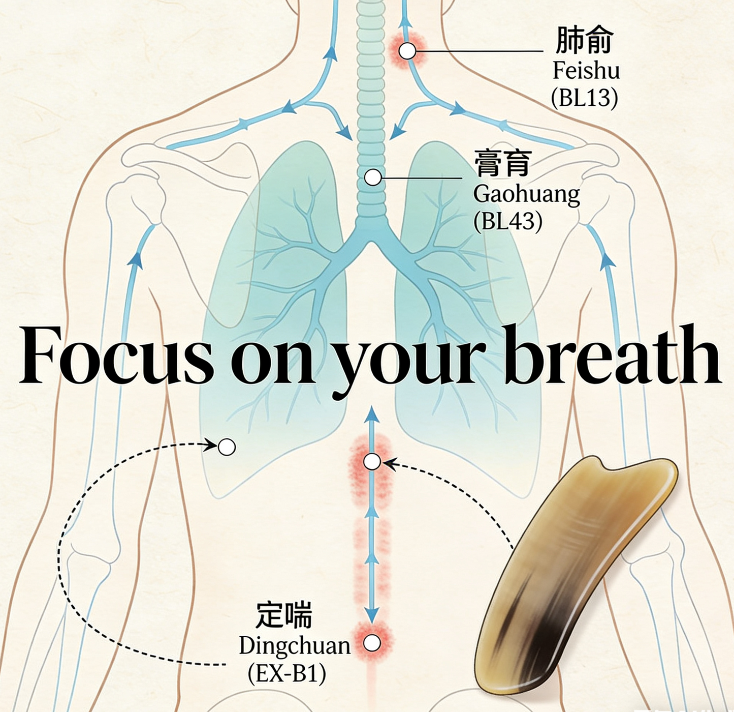 The Breath Keeper's Atlas - A Gua Sha Journey Through the Lungs