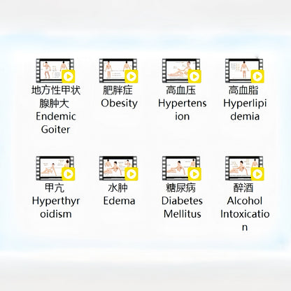 The Inner Conductor - Harmonizing Your Endocrine Landscape