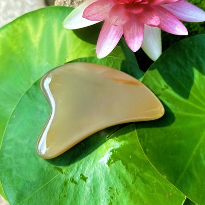 Dolphin Flow™ Gua Sha - Natural White Water Buffalo Horn （kit）