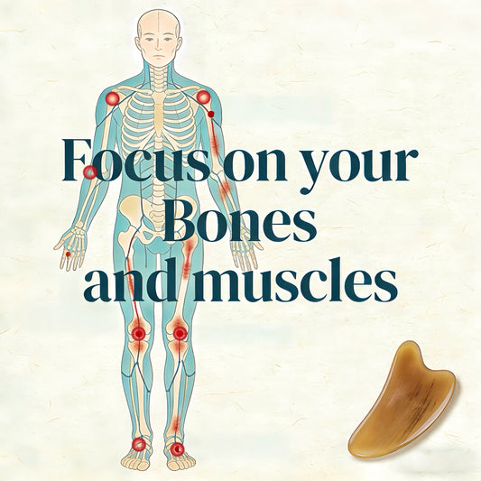 The Frame Unwound - Musculoskeletal Liberation